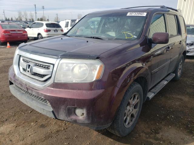 5FNYF4H67AB501603 Honda Pilot Exl 2010. Фото: 1