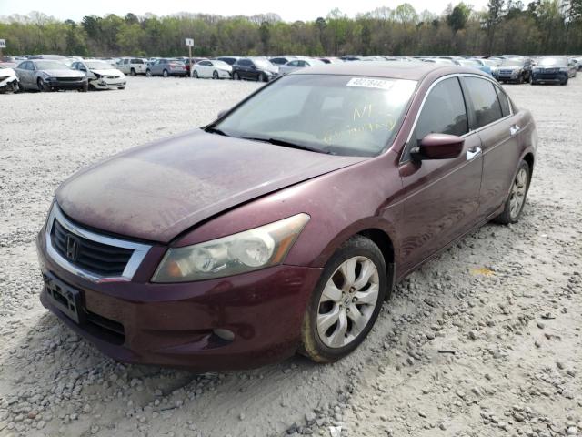 1HGCP36808A036348 Honda Accord Exl 2008. Фото: 1