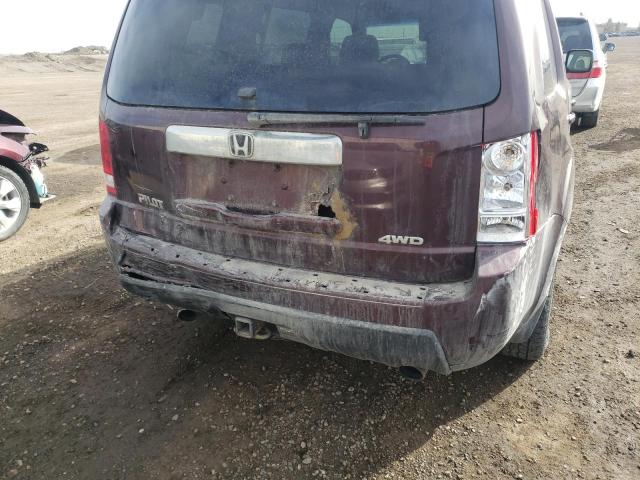 5FNYF4H67AB501603 Honda Pilot Exl 2010. Фото: 8