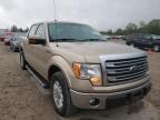 2013 FORD  F-150