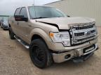 2014 FORD  F-150