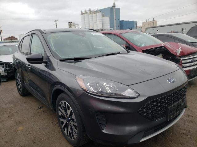 2020 Ford Escape Se  (VIN: 1FMCU0BZ7LUB84407)