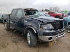 2006 FORD  F-150