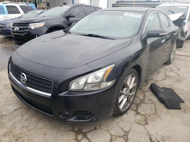 1N4AA5AP5BC841295 Nissan Maxima S 2011. Фото: 1