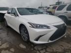 2019 LEXUS  ES350