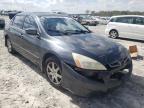 2004 HONDA  ACCORD