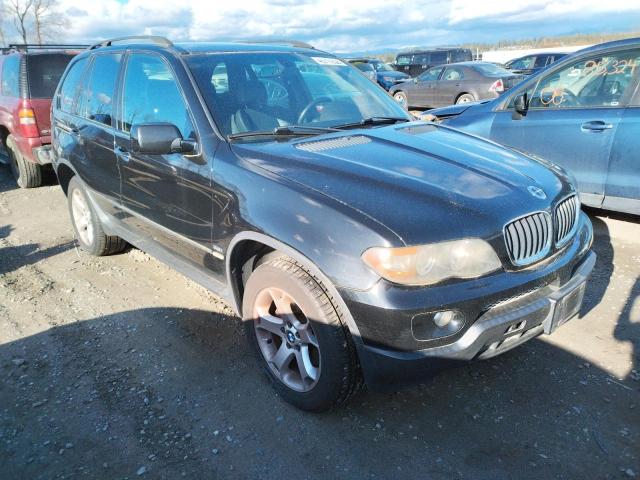 Фото: 5UXFA13544LU21548 - 1