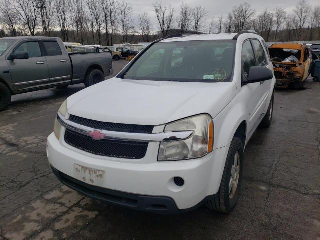 2CNDL13F886073436 Chevrolet Equinox Ls 2008. Фото: 1