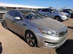 2013 KIA  OPTIMA