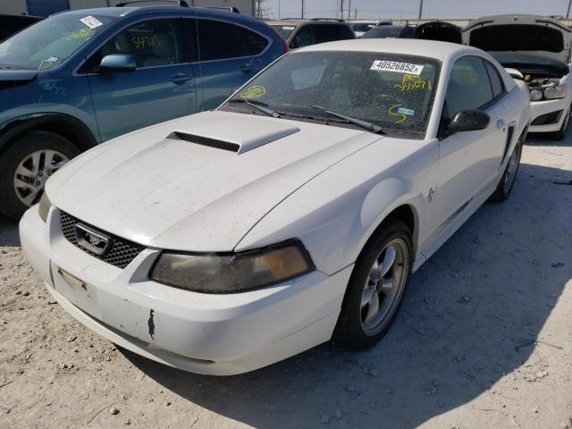 Фото: 1FAFP40413F355671 - 2