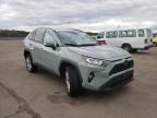 2019 TOYOTA  RAV4