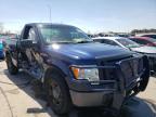 2009 FORD  F150