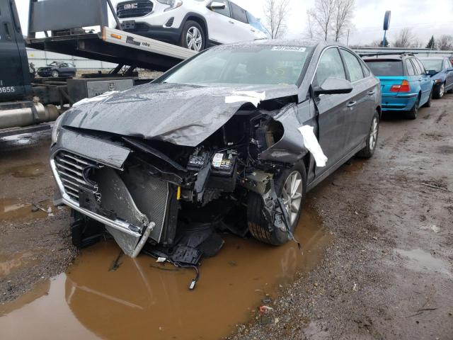 5NPE24AF8JH703859 Hyundai Sonata Se 2018. Фото: 1