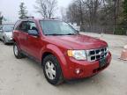 2011 FORD  ESCAPE