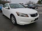 2010 HONDA  ACCORD