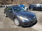 2009 TOYOTA  CAMRY