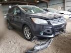 2014 FORD  ESCAPE