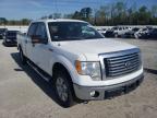 2010 FORD  F-150