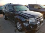 2010 FORD  ESCAPE