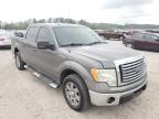 2010 FORD  F-150