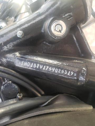 2005 HARLEY-DAVIDSON FXSTB 1HD1BTY175Y025319
