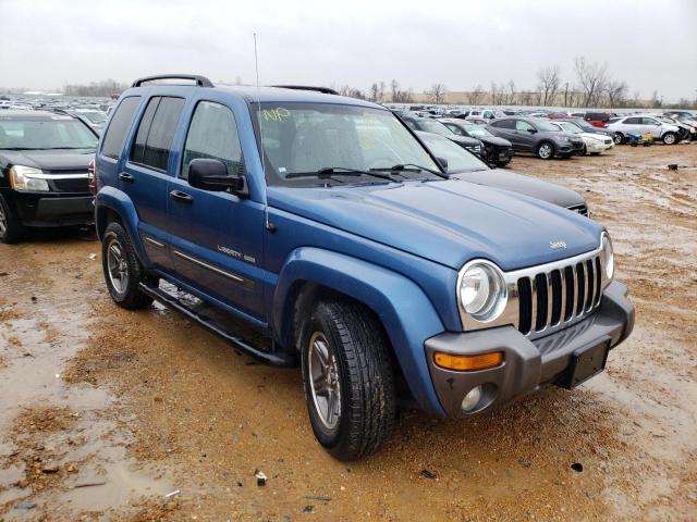 jeep liberty 2022 blue
