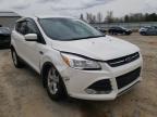 2014 FORD  ESCAPE