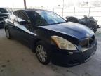 2010 NISSAN  ALTIMA