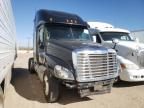 2013 FREIGHTLINER  CASCADIA 1