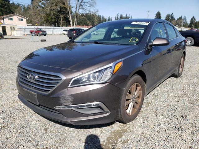 5NPE24AF9FH122894 Hyundai Sonata Se 2015. Фото: 1