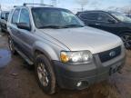 2007 FORD  ESCAPE