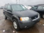 2004 FORD  ESCAPE