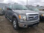 2013 FORD  F-150