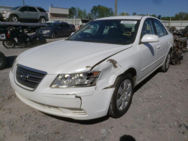 5NPET4AC8AH646257 Hyundai Sonata Gls 2010. Фото: 1