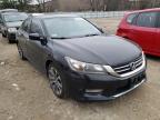 2013 HONDA  ACCORD