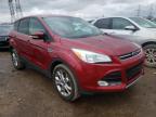 2013 FORD  ESCAPE