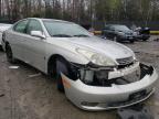 2002 LEXUS  ES300