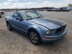 2005 FORD  MUSTANG