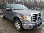 2014 FORD  F-150