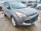 2014 FORD  ESCAPE