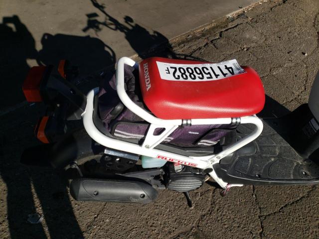 2019 HONDA NPS50 JH2AF5817KK700948