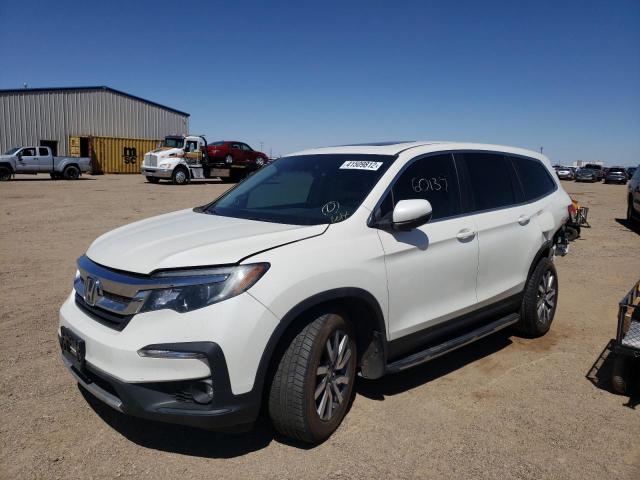 5FNYF6H58KB043655 Honda Pilot Exl 2019. Фото: 1