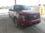 2013 FORD  F-150