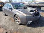 2010 ACURA  TL