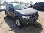 2007 FORD  ESCAPE