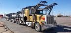 2007 PETERBILT  379