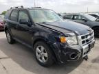 2009 FORD  ESCAPE