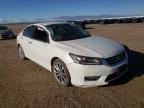 2013 HONDA  ACCORD