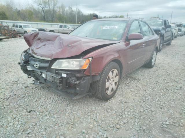 5NPET46C38H337279 Hyundai Sonata Gls 2008. Фото: 1