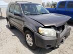 2006 FORD  ESCAPE